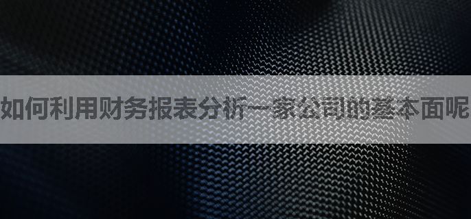 如何利用财务报表分析一家公司的基本面呢？