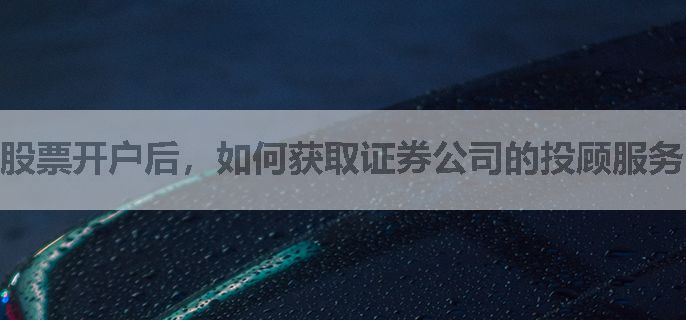 股票开户后，如何获取证券公司的投顾服务？