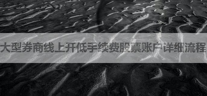 大型券商线上开低手续费股票账户详细流程