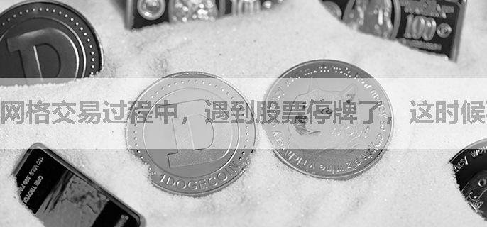 网格交易过程中，遇到股票停牌了，这时候要怎么处理之前的网格计划呢？