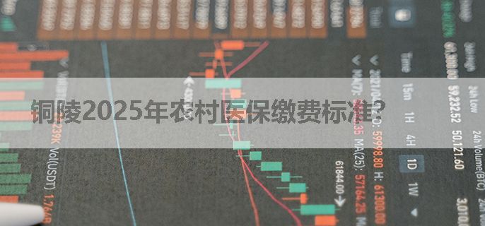 铜陵2025年农村医保缴费标准？