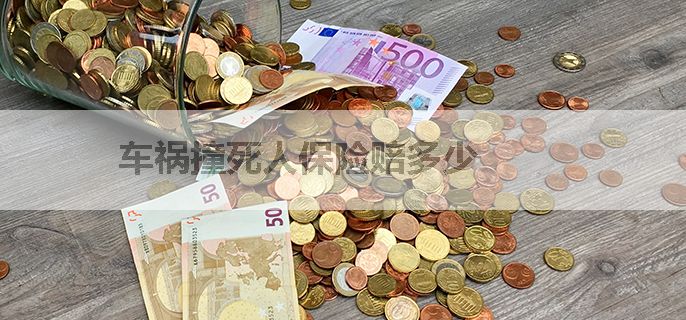 车祸撞死人保险赔多少