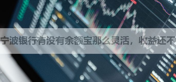 宁波银行有没有余额宝那么灵活，收益还不错的产品？