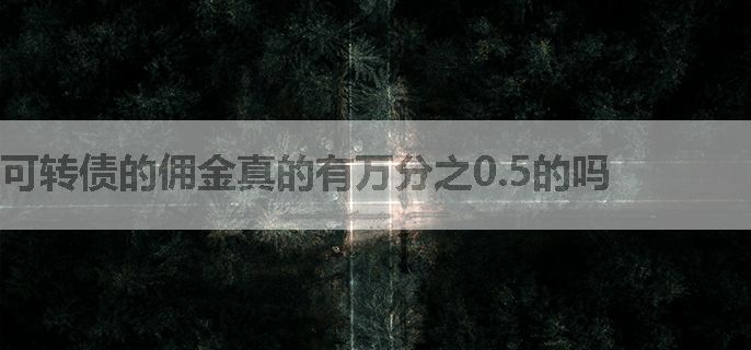 可转债的佣金真的有万分之0.5的吗