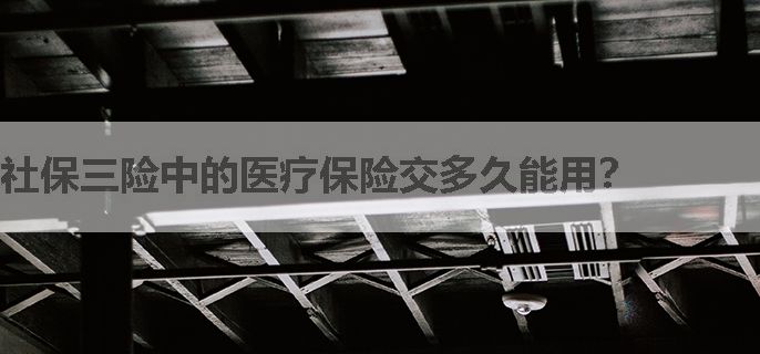 社保三险中的医疗保险交多久能用？