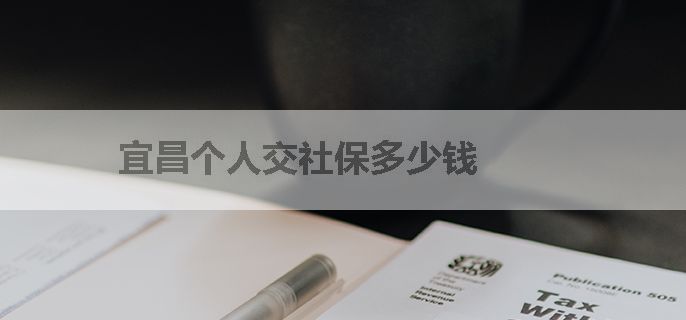 宜昌个人交社保多少钱