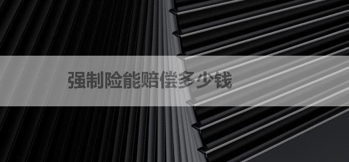 强制险能赔偿多少钱