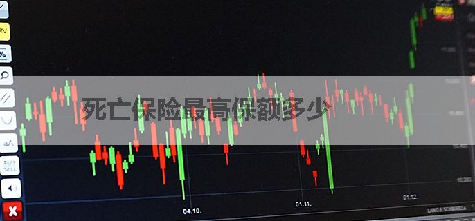 死亡保险最高保额多少
