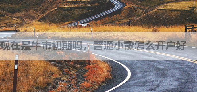 现在是牛市初期吗，普通小散怎么开户好
