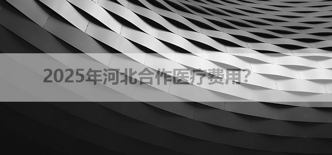 2025年河北合作医疗费用？