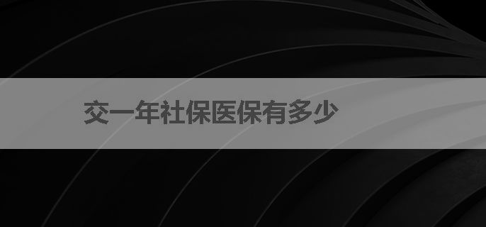 交一年社保医保有多少