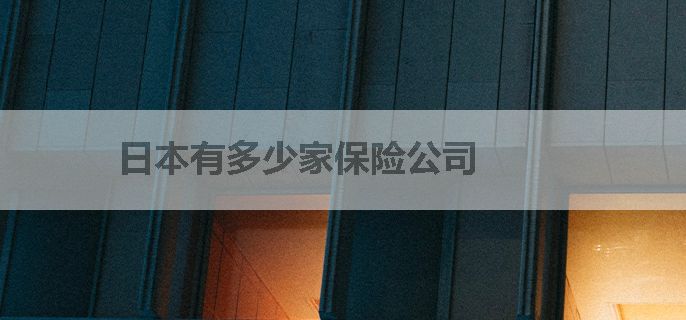 日本有多少家保险公司