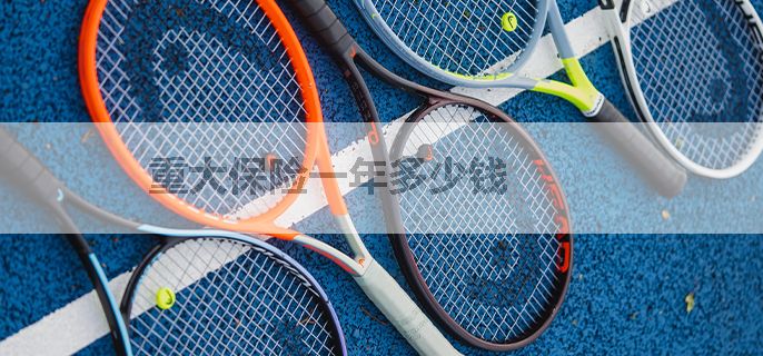 重大保险一年多少钱