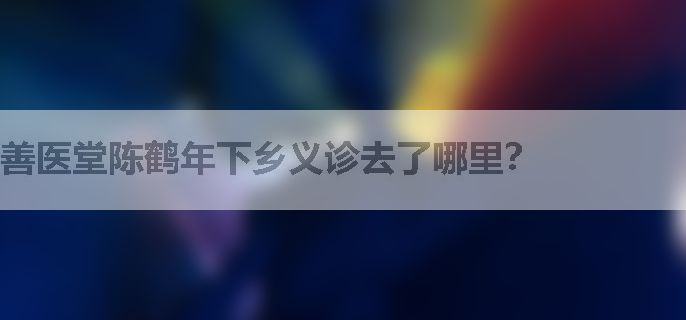 善医堂陈鹤年下乡义诊去了哪里？