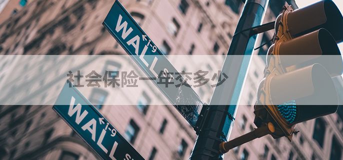 社会保险一年交多少