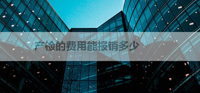 产检的费用能报销多少