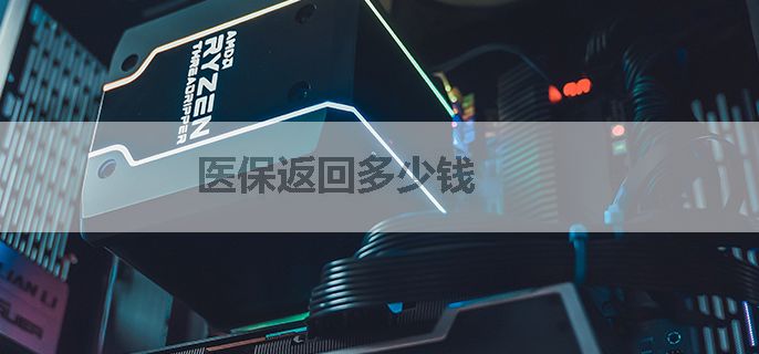 医保返回多少钱