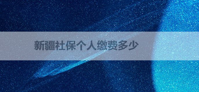 新疆社保个人缴费多少