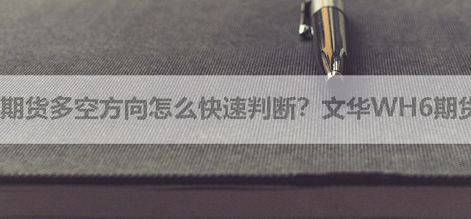 期货多空方向怎么快速判断？文华WH6期货多空指标分享