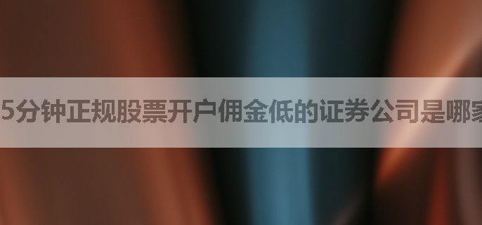 5分钟正规股票开户佣金低的证券公司是哪家，线上开户流程