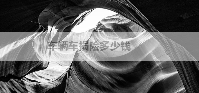 车辆车损险多少钱