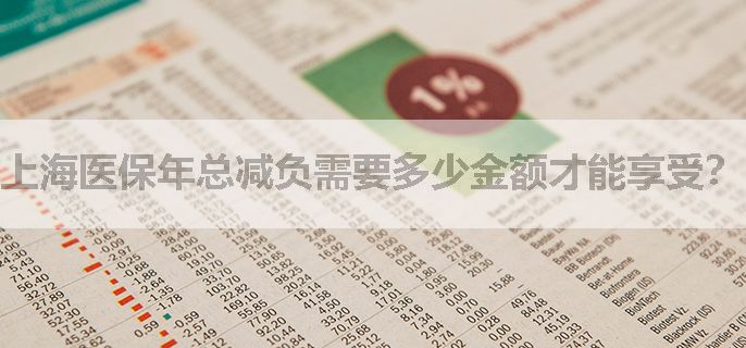 上海医保年总减负需要多少金额才能享受？