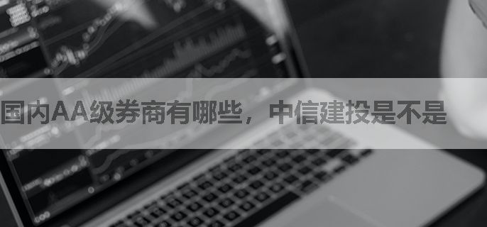 国内AA级券商有哪些，中信建投是不是