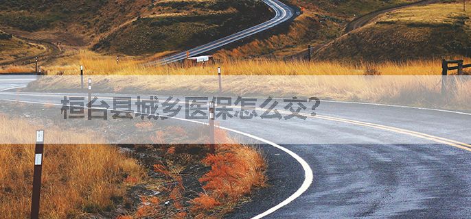 桓台县城乡医保怎么交？