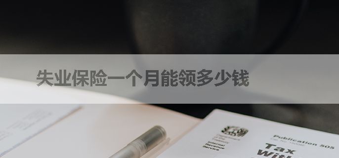 失业保险一个月能领多少钱
