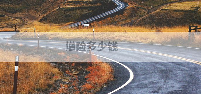 增险多少钱