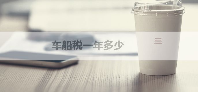 车船税一年多少