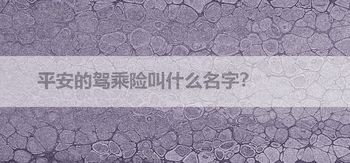 平安的驾乘险叫什么名字？