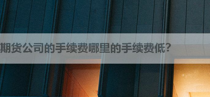 期货公司的手续费哪里的手续费低？