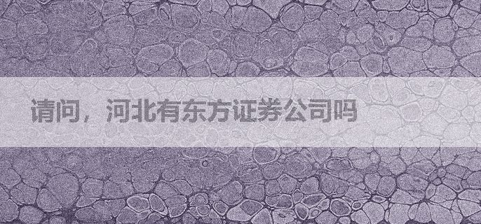 请问，河北有东方证券公司吗