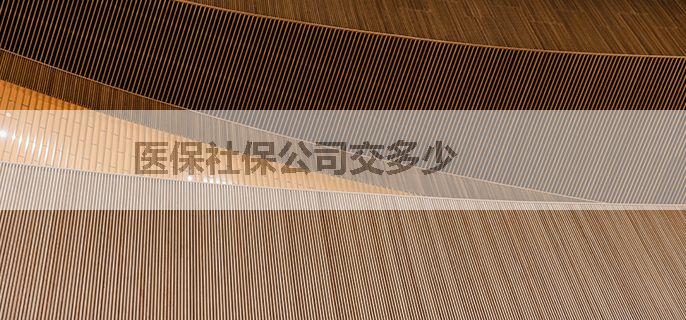 医保社保公司交多少