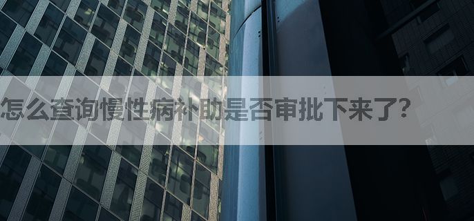 怎么查询慢性病补助是否审批下来了？