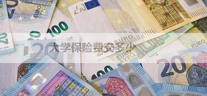 大学保险费交多少