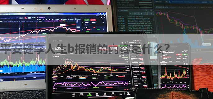 平安健享人生b报销的内容是什么？