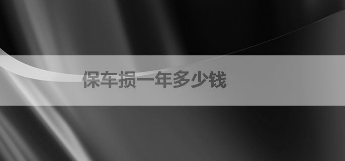 保车损一年多少钱