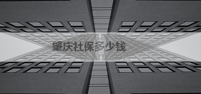 肇庆社保多少钱