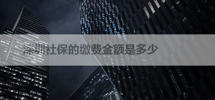 深圳社保的缴费金额是多少
