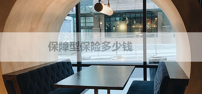 保障型保险多少钱