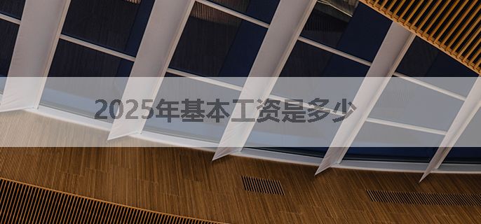 2025年基本工资是多少