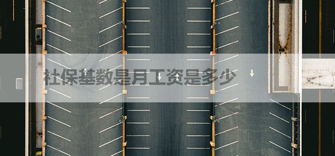 社保基数是月工资是多少