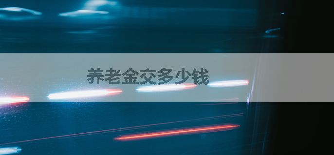 养老金交多少钱