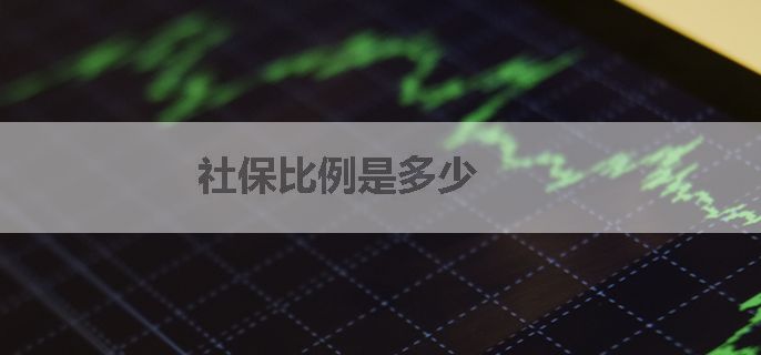 社保比例是多少
