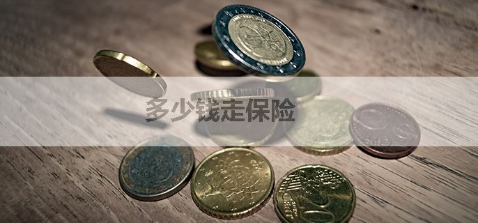 多少钱走保险
