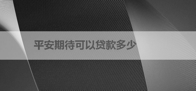 平安期待可以贷款多少