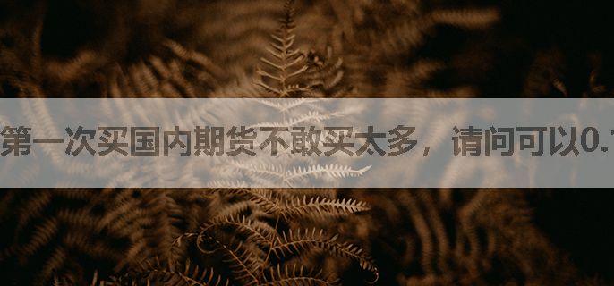 第一次买国内期货不敢买太多，请问可以0.1手买吗？