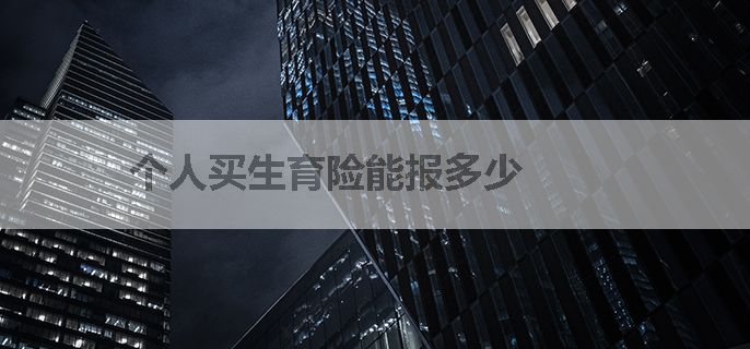 个人买生育险能报多少